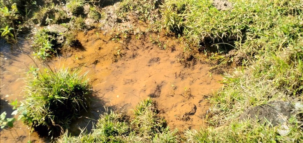 Sítio de 12 ha em São José dos Campos, SP