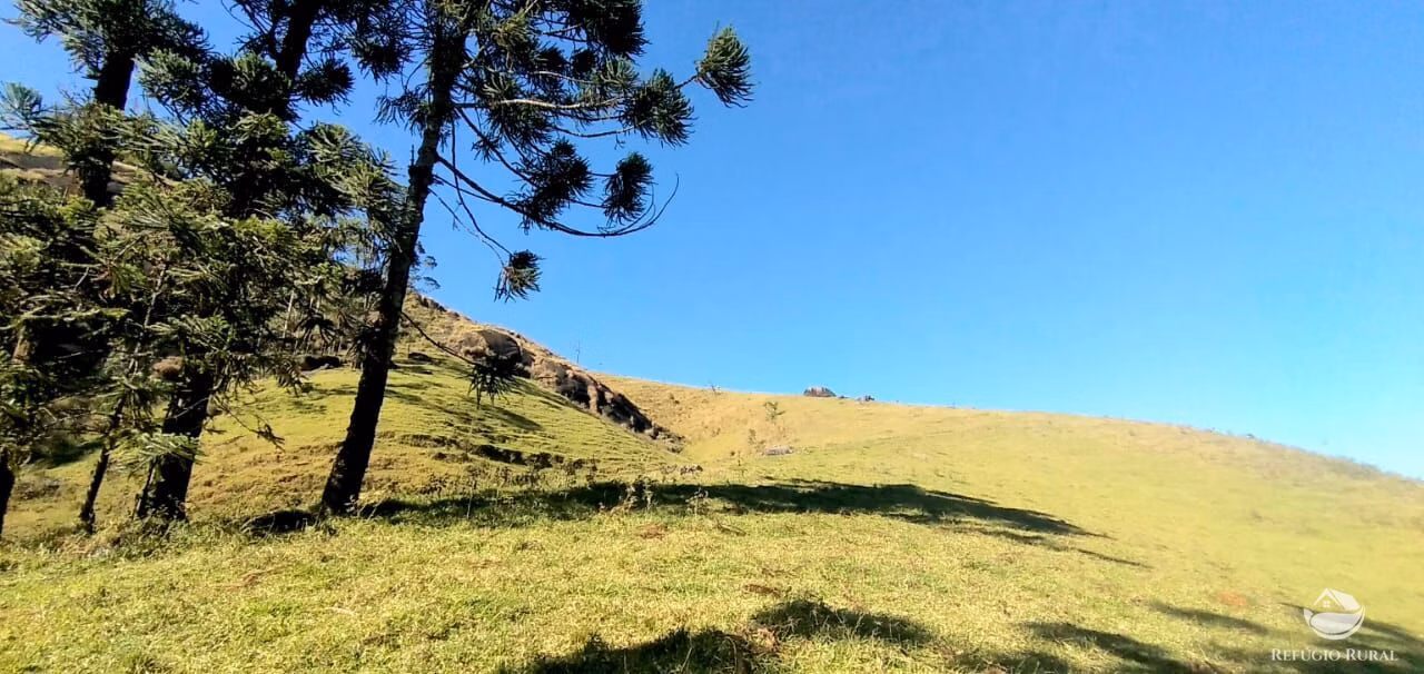 Small farm of 30 acres in São José dos Campos, SP, Brazil