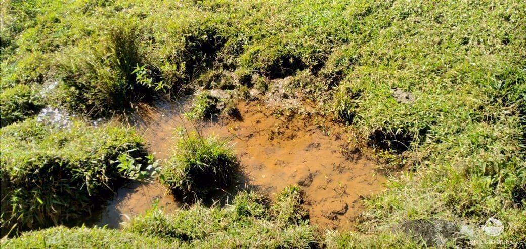 Small farm of 30 acres in São José dos Campos, SP, Brazil