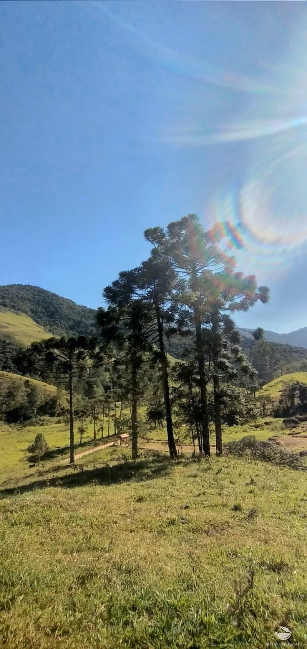 Small farm of 30 acres in São José dos Campos, SP, Brazil