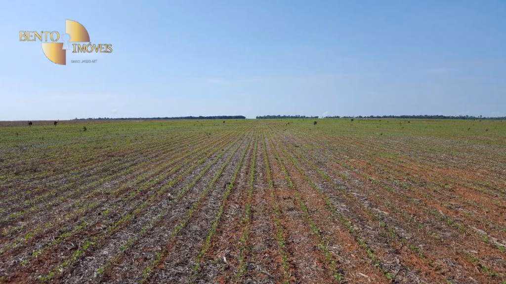 Fazenda de 3.600 ha em Gaúcha do Norte, MT