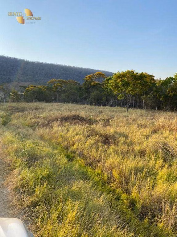 Fazenda de 650 ha em Barão de Melgaço, MT