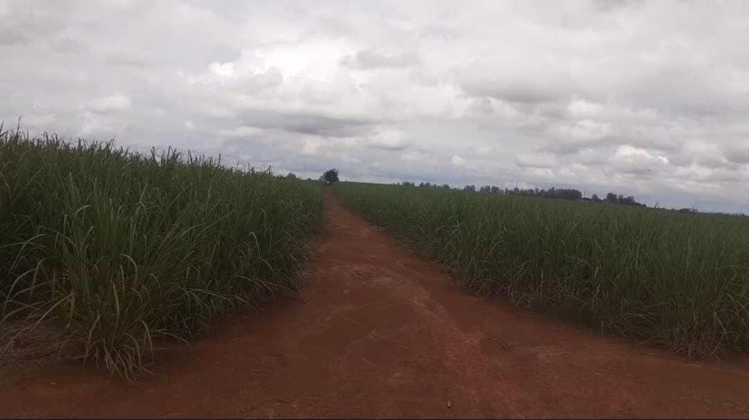 Farm of 758 acres in Tatuí, SP, Brazil