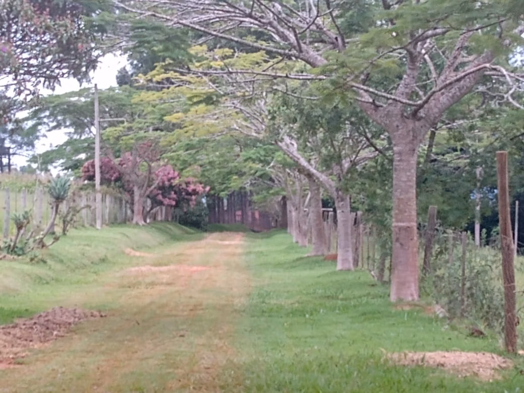 Sítio de 12 ha em Itapetininga, SP