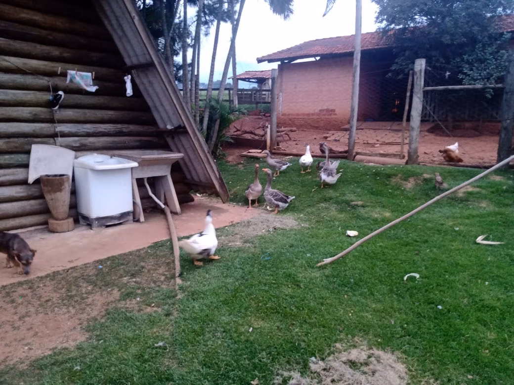 Sítio de 12 ha em Itapetininga, SP
