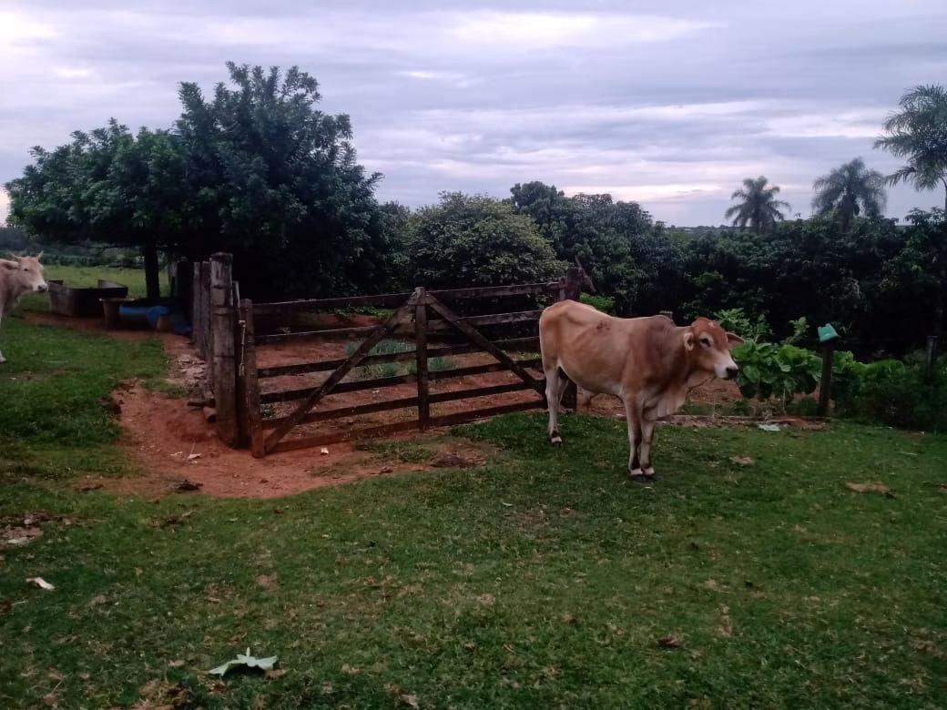 Sítio de 12 ha em Itapetininga, SP