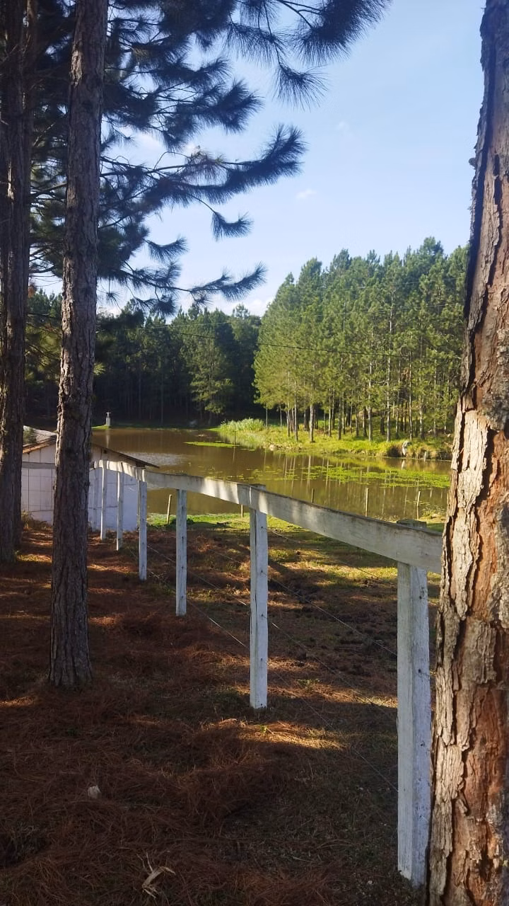 Fazenda de 232 ha em Itapeva, SP