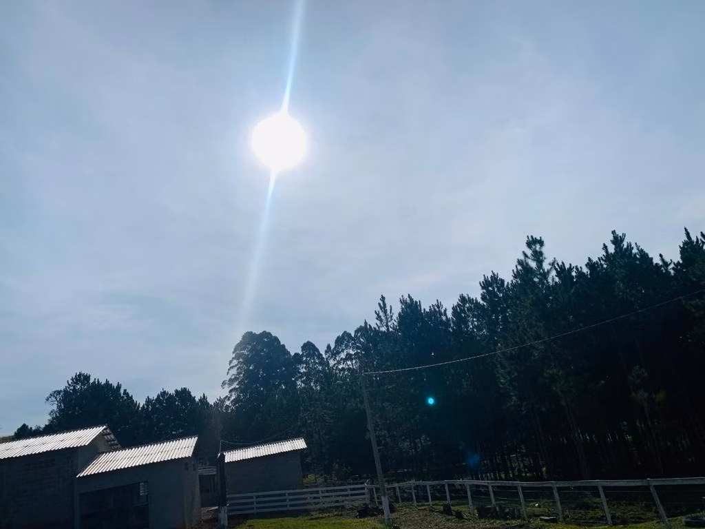 Fazenda de 232 ha em Itapeva, SP