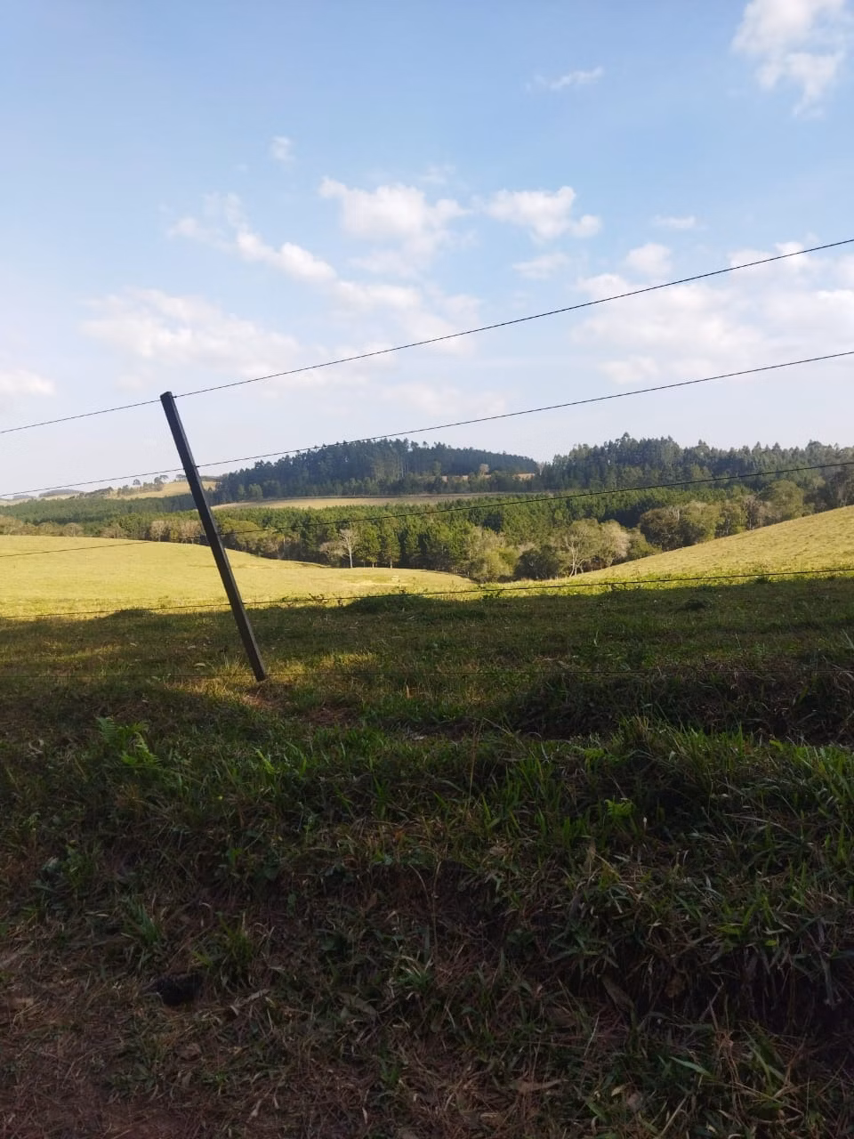 Fazenda de 232 ha em Itapeva, SP