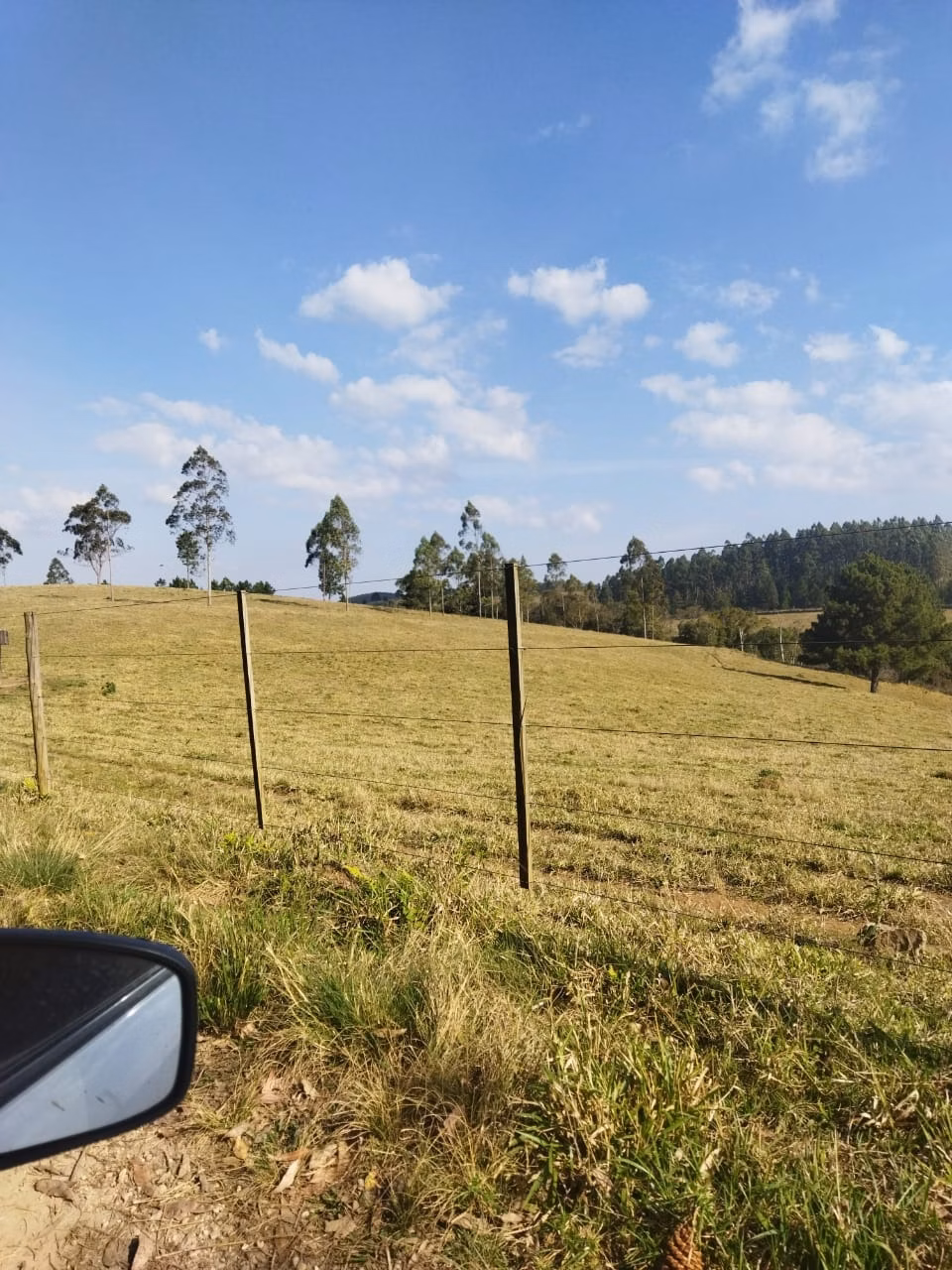 Fazenda de 232 ha em Itapeva, SP