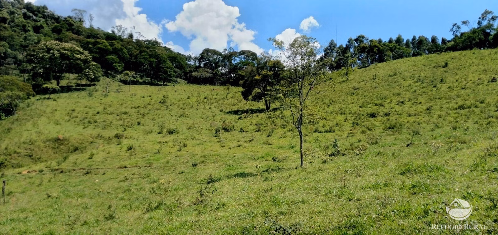 Terreno de 145 ha em Monteiro Lobato, SP