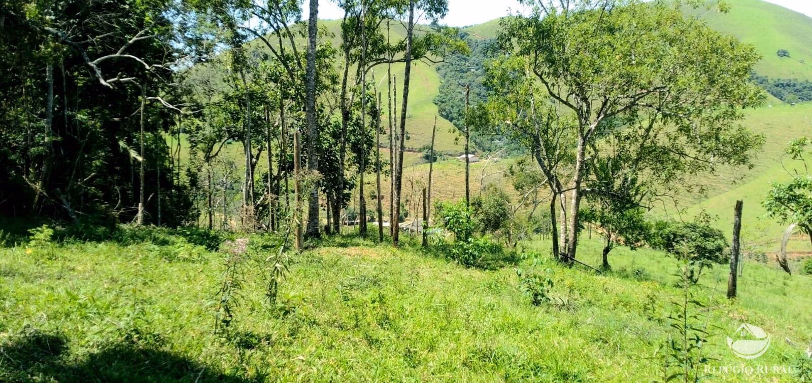 Terreno de 145 ha em Monteiro Lobato, SP