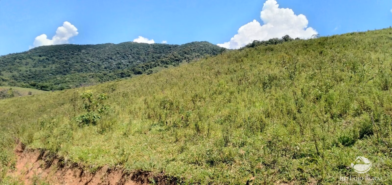 Terreno de 145 ha em Monteiro Lobato, SP