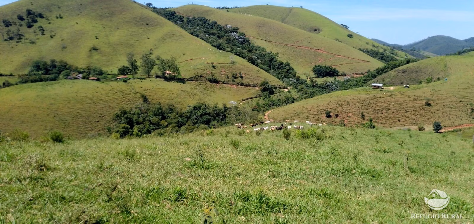 Terreno de 145 ha em Monteiro Lobato, SP