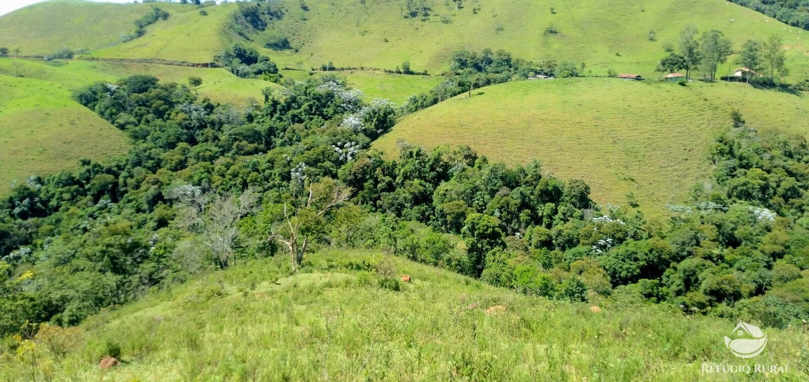 Terreno de 145 ha em Monteiro Lobato, SP