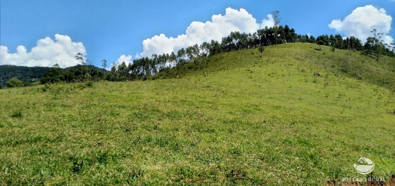 Terreno de 145 ha em Monteiro Lobato, SP