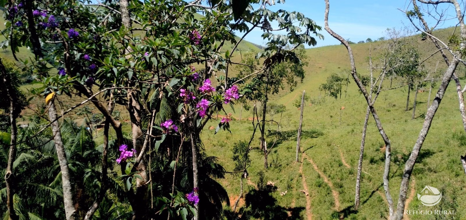 Terreno de 145 ha em Monteiro Lobato, SP