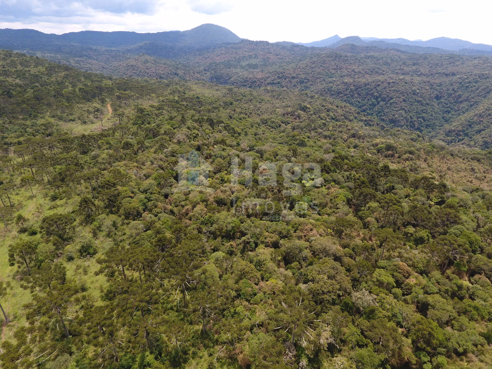 Farm of 5 acres in Rio Rufino, SC, Brazil