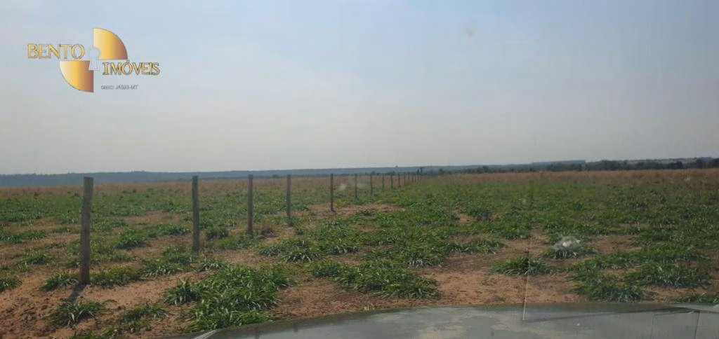 Fazenda de 2.000 ha em Alta Floresta, MT