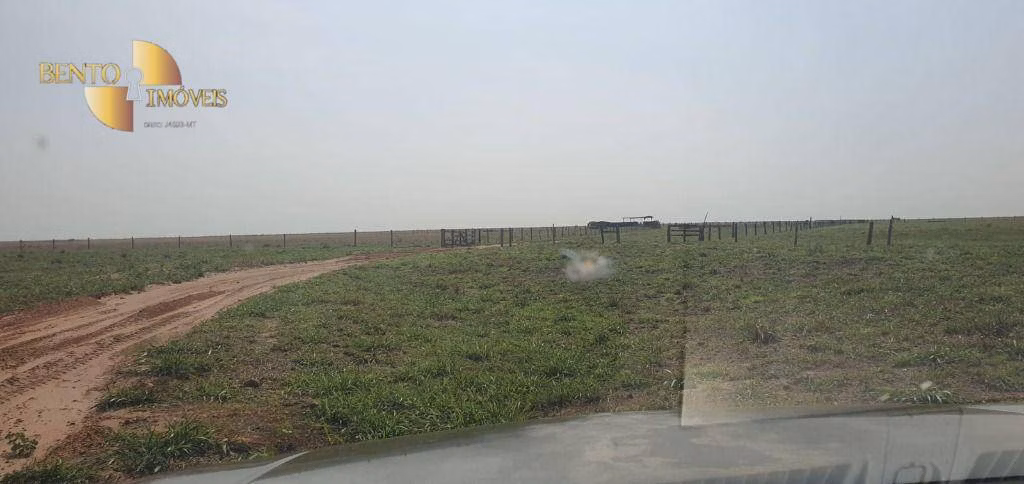 Fazenda de 2.000 ha em Alta Floresta, MT
