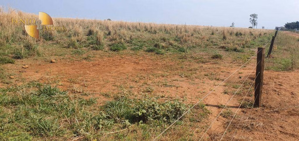 Fazenda de 2.000 ha em Alta Floresta, MT