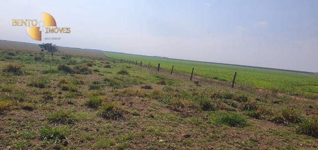 Fazenda de 2.000 ha em Alta Floresta, MT