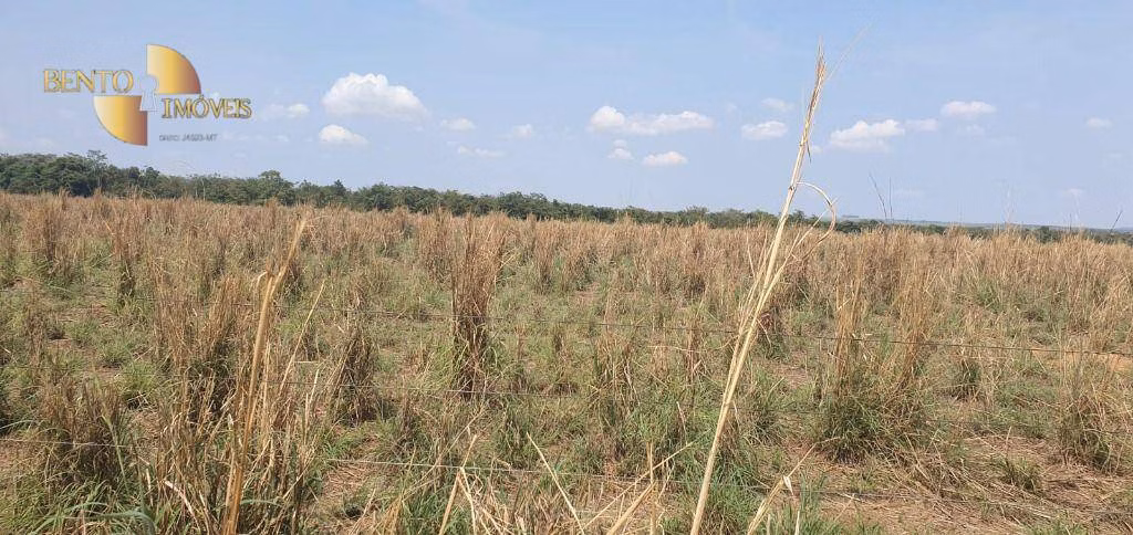 Fazenda de 2.000 ha em Alta Floresta, MT