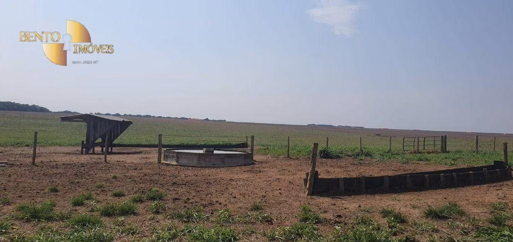 Fazenda de 2.000 ha em Alta Floresta, MT