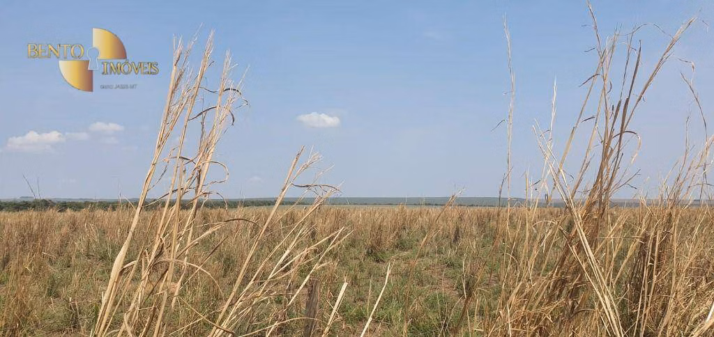 Fazenda de 2.000 ha em Alta Floresta, MT