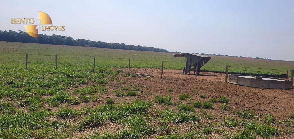 Fazenda de 2.000 ha em Alta Floresta, MT