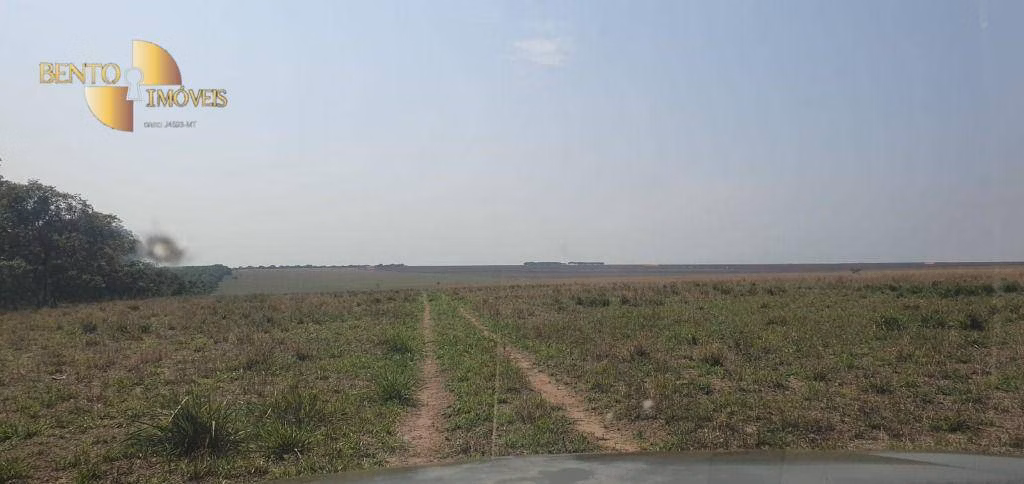 Fazenda de 2.000 ha em Alta Floresta, MT