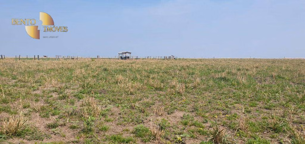 Fazenda de 2.000 ha em Alta Floresta, MT