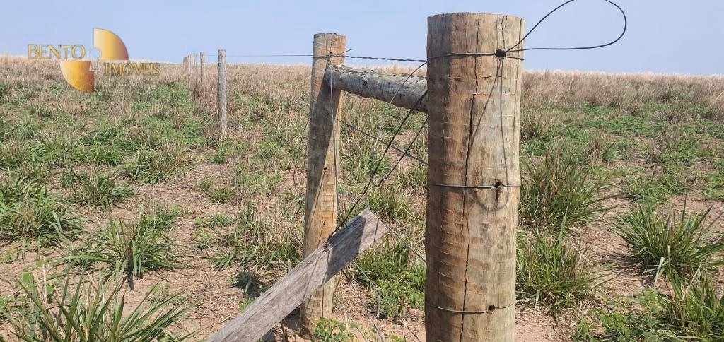 Fazenda de 2.000 ha em Alta Floresta, MT