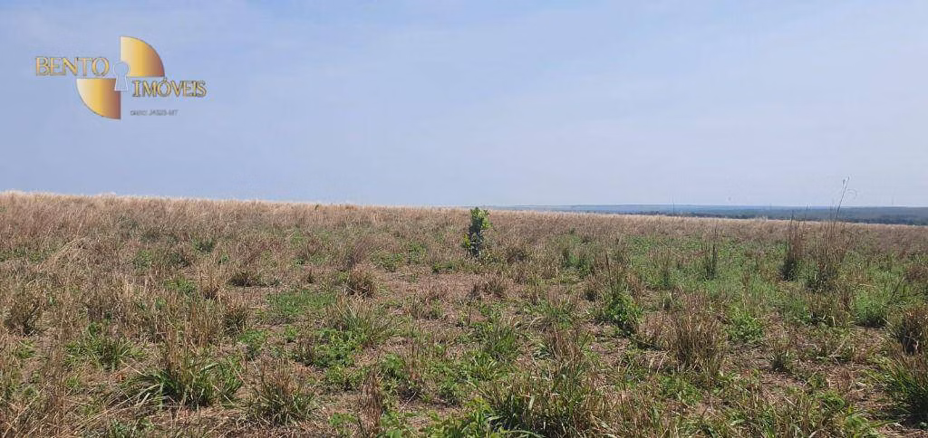 Fazenda de 2.000 ha em Alta Floresta, MT