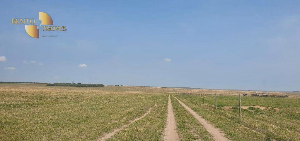 Fazenda de 2.000 ha em Alta Floresta, MT