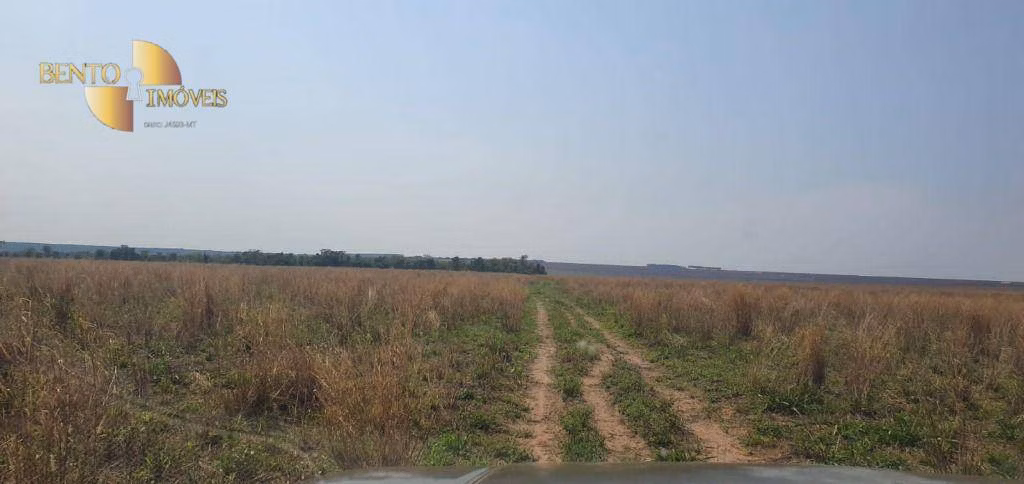 Fazenda de 2.000 ha em Alta Floresta, MT