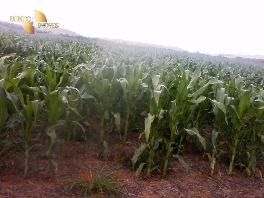 Fazenda de 25.000 ha em São João d'Aliança, GO