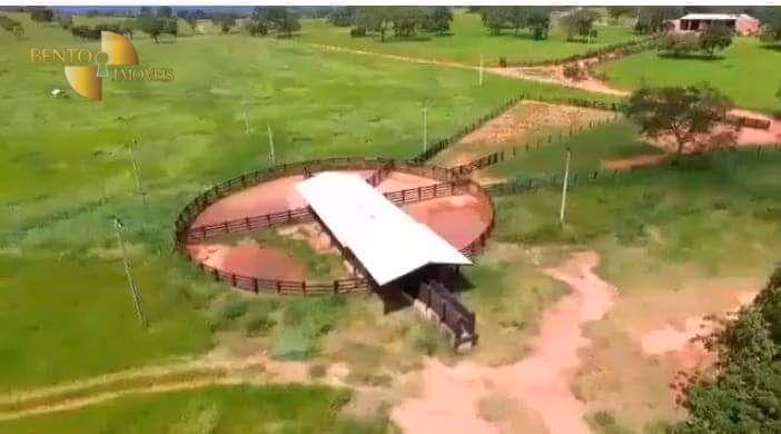 Fazenda de 680 ha em Rondonópolis, MT