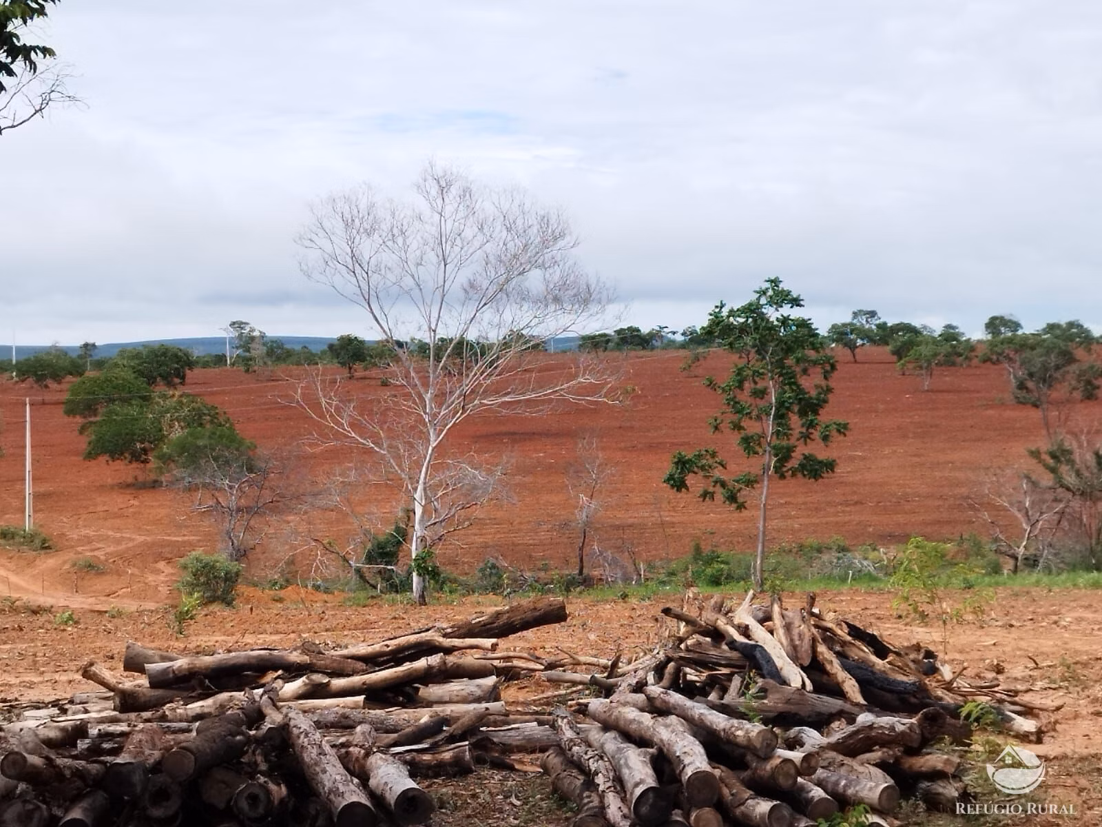 Farm of 1,779 acres in São Gonçalo do Abaeté, MG, Brazil