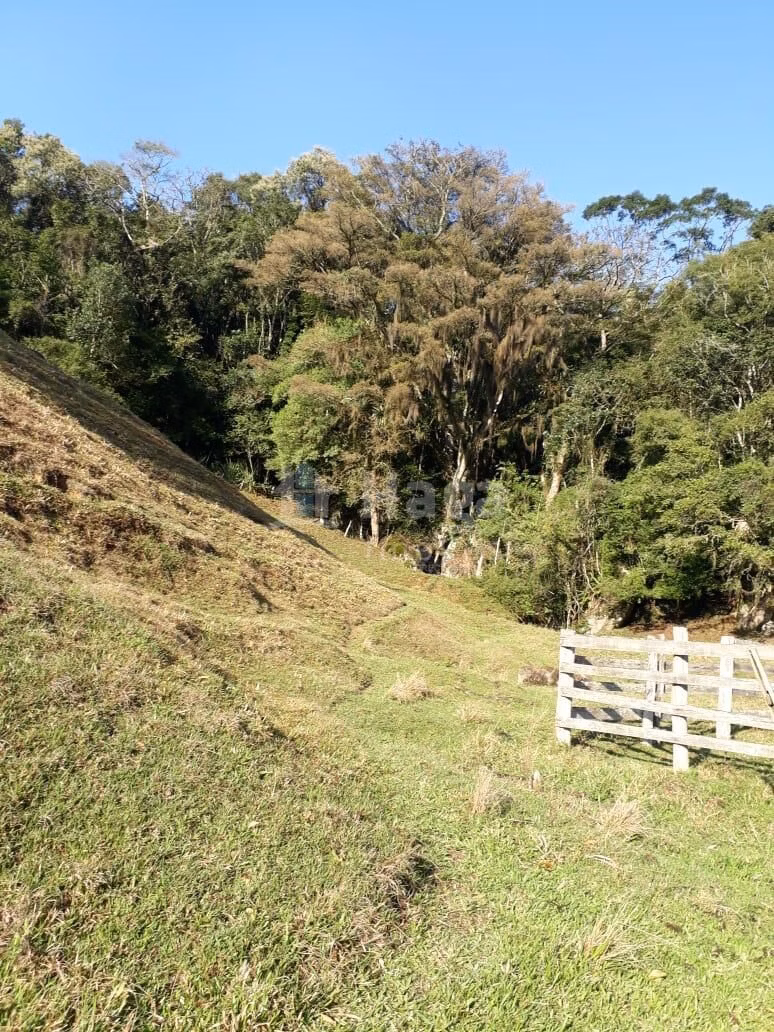 Farm of 86 acres in Angelina, SC, Brazil