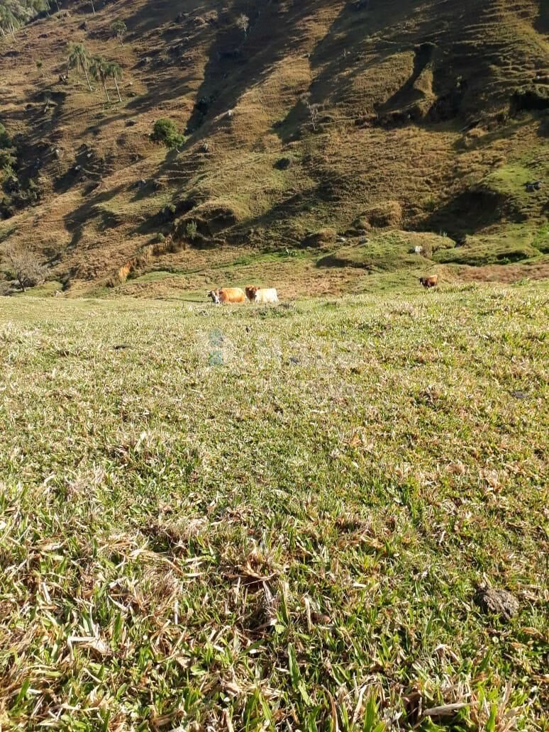 Farm of 86 acres in Angelina, SC, Brazil