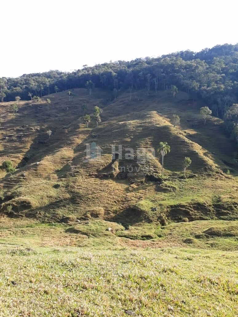 Farm of 86 acres in Angelina, SC, Brazil