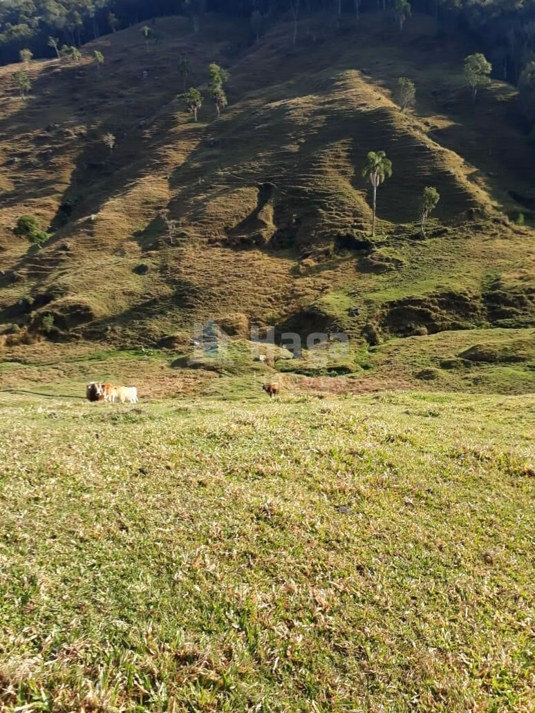 Farm of 86 acres in Angelina, SC, Brazil