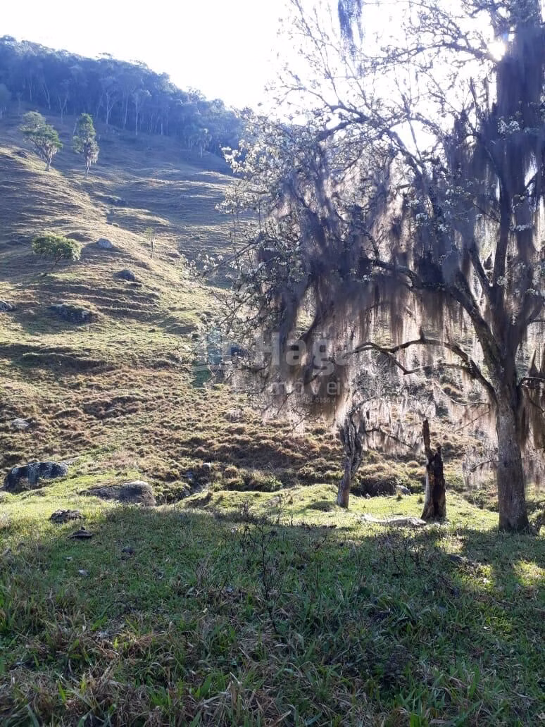 Farm of 86 acres in Angelina, SC, Brazil