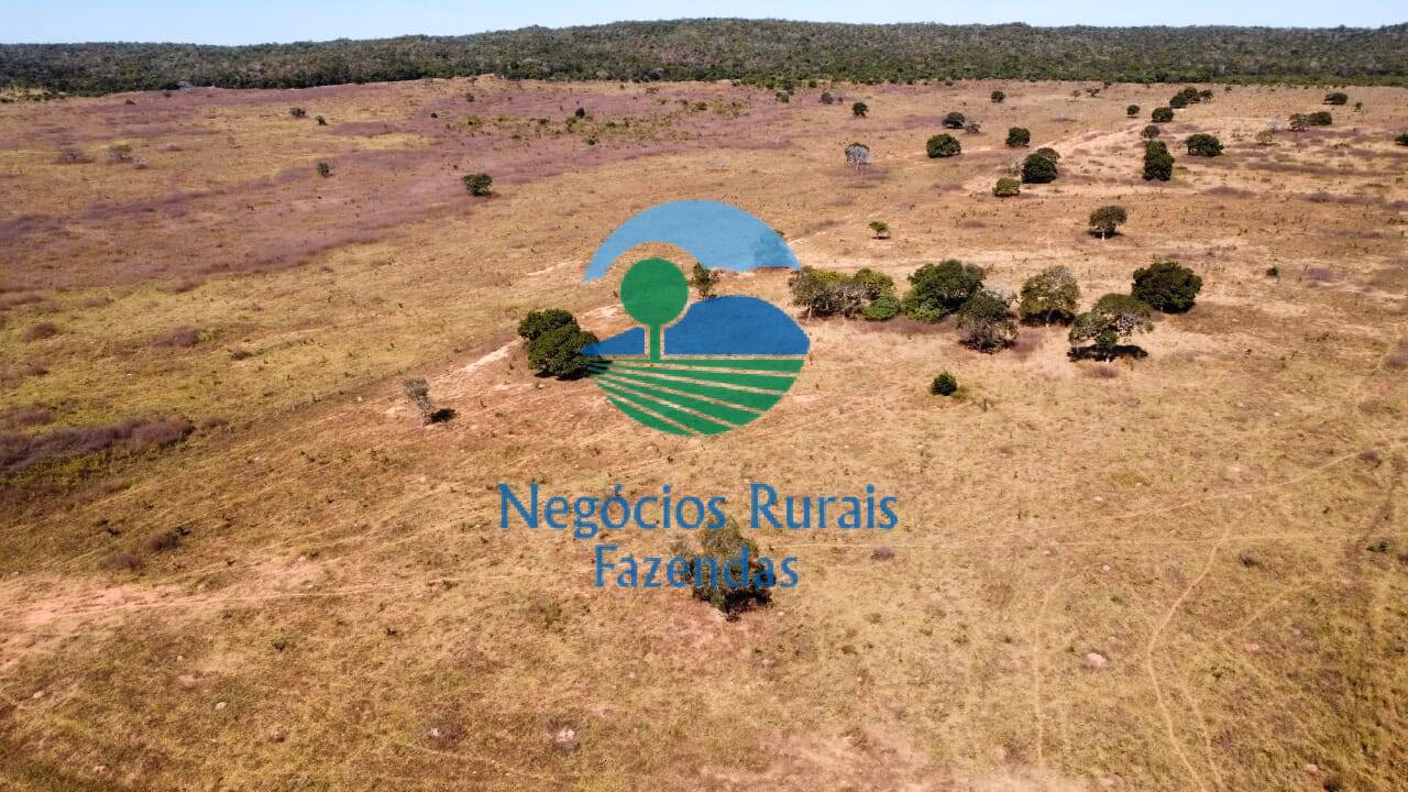 Fazenda de 1.210 ha em Barra do Garças, MT