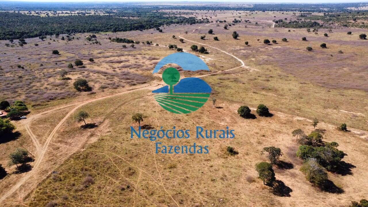Fazenda de 1.210 ha em Barra do Garças, MT