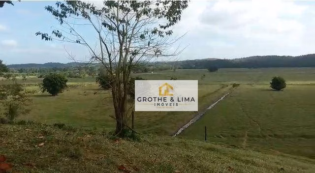 Fazenda de 424 ha em Registro, SP