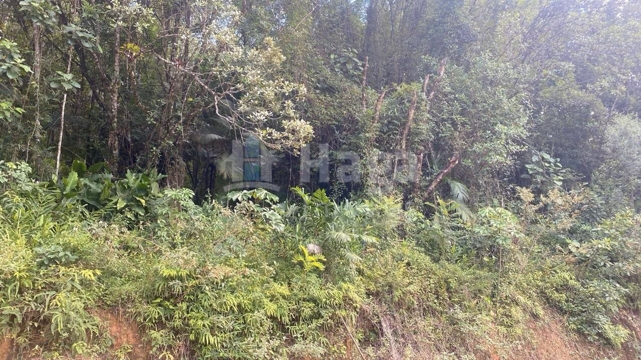 Terreno de 5.595 m² em Guabiruba, SC