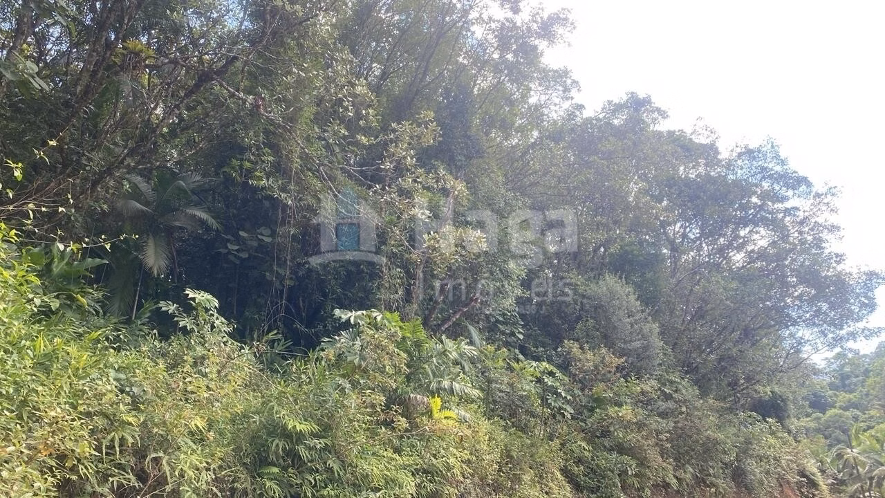 Terreno de 5.595 m² em Guabiruba, SC
