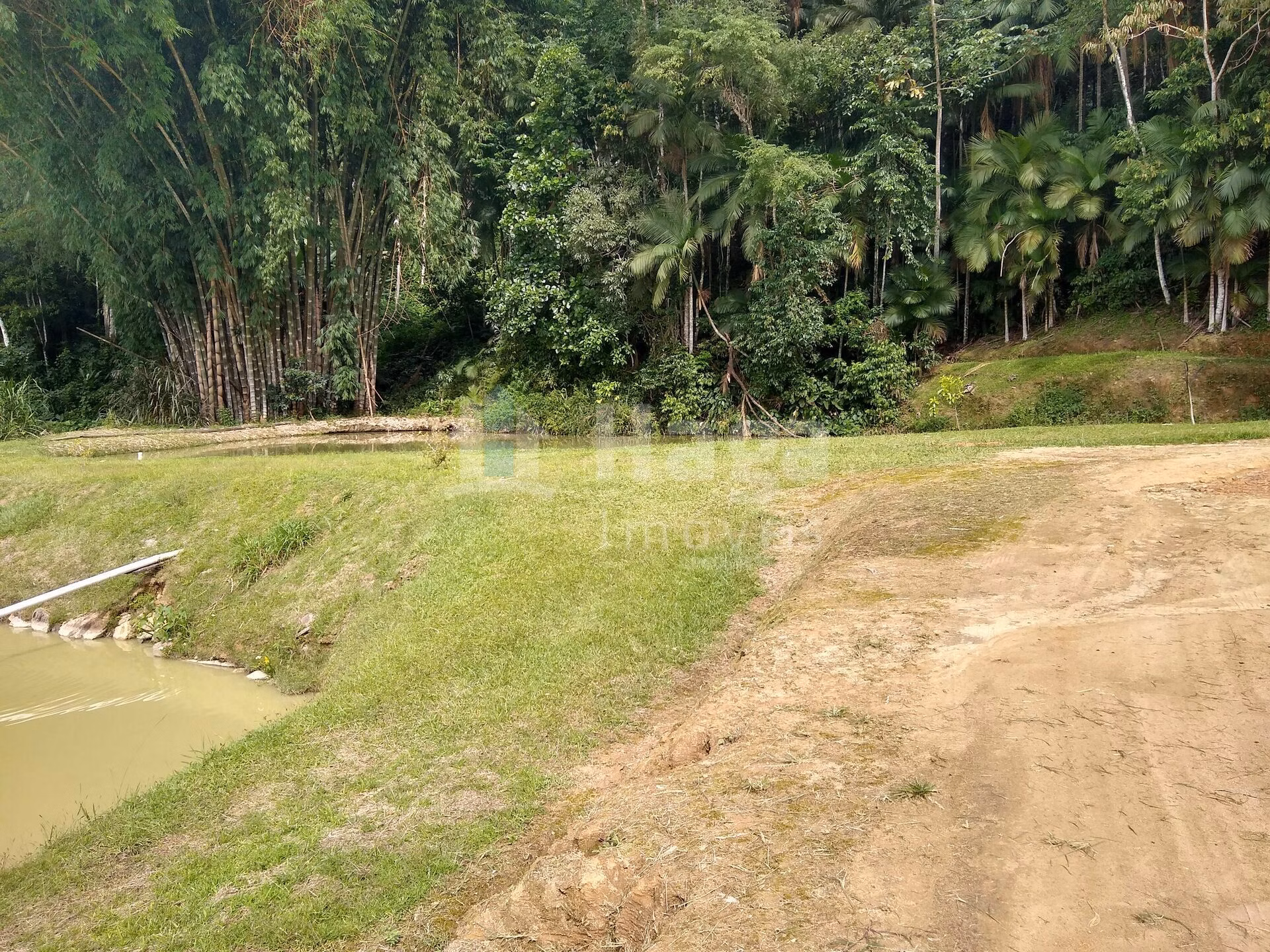 Chácara de 2 ha em Rio dos Cedros, SC